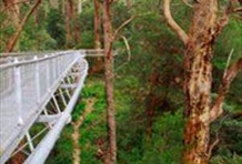 Valley of the Giants (French/Italian/German Guide)